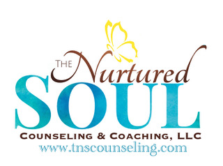 Blue and dark brown logo for The Natured Soul counseling and Coaching, LLC; www.tnscounseling.com